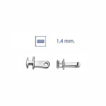 Zapuštěné stěžejky